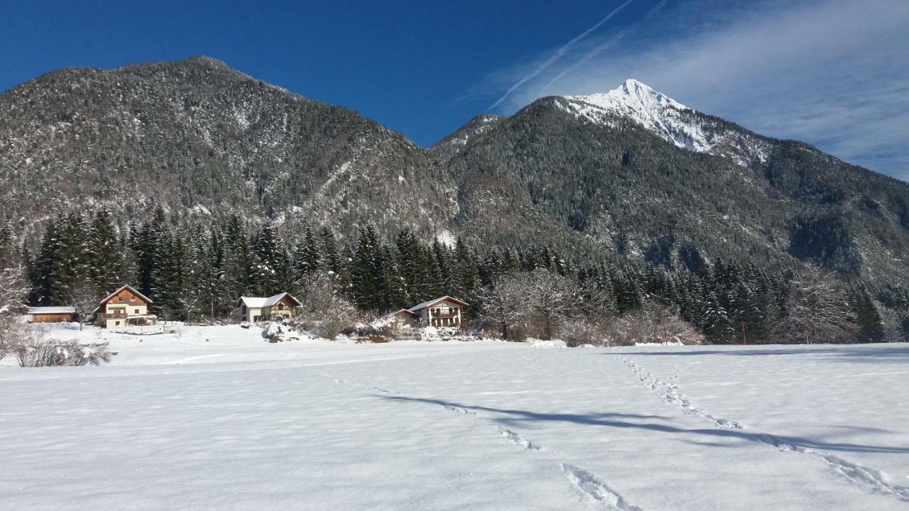 Haus Jana Villa Hermagor-Pressegger See Kültér fotó